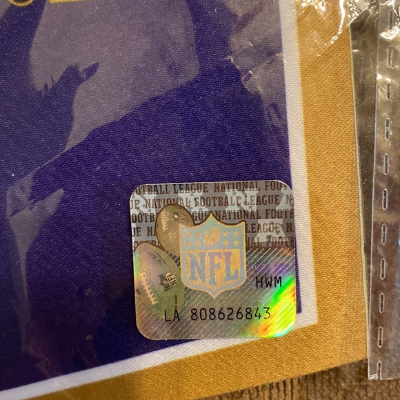 Two Ravens scroll type flags - Picture 2 of 3